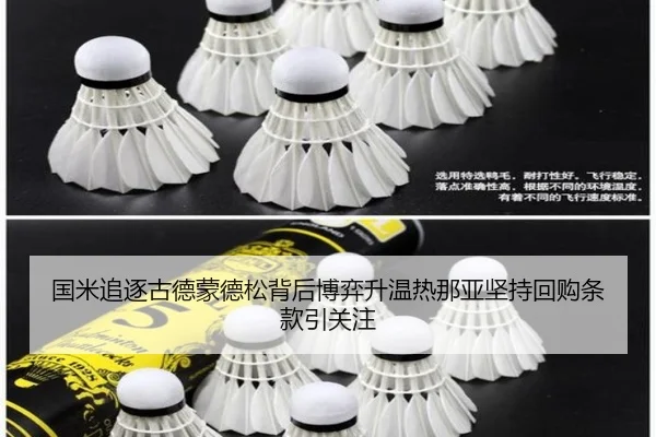 国米追逐古德蒙德松背后博弈升温热那亚坚持回购条款引关注