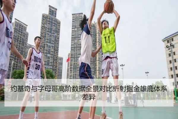 约基奇与字母哥高阶数据全景对比折射掘金雄鹿体系差异